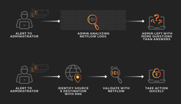 Making the Most of Your Flow Data with DNS Telemetry